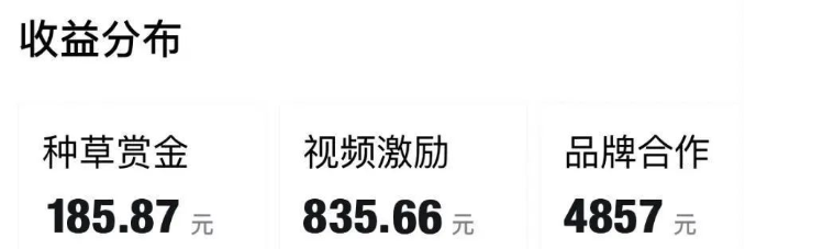 得物视频号创作者激励计划，2024年最新骚操作，新平台新玩法，视频收益大，1万播放150+，小白轻松上手